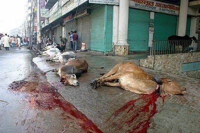 Animalsacrifice-pakistan.jpg