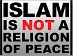 Logo-of-Islam for Dummies.jpg