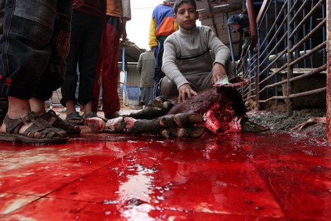 Animalsacrifice-0018.jpg