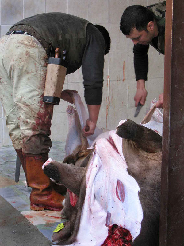 Images-animalsacrifice-0007.jpg