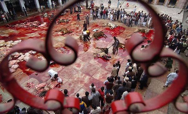 Images-animalsacrifice-0001.jpg