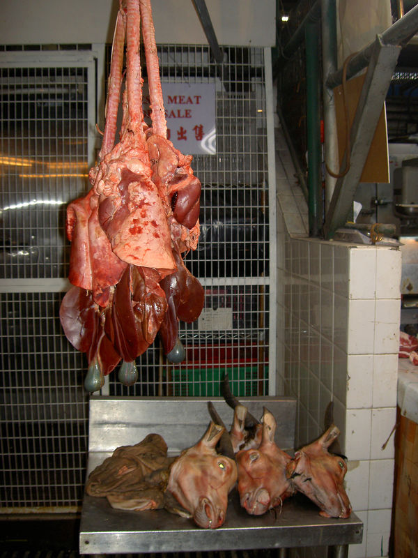 Images-animalsacrifice-0003.jpg