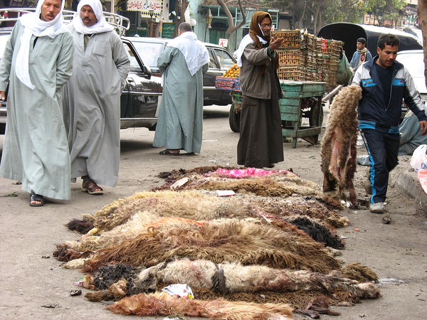 Images-animalsacrifice-0006.jpg
