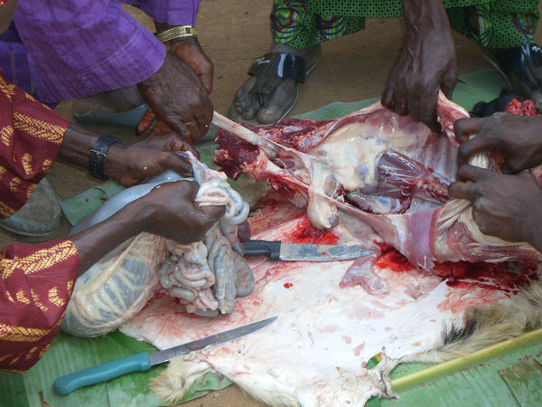 Images-animalsacrifice-0013.jpg