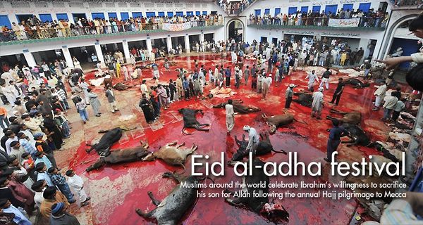 Eid ul-Adha festival.jpg
