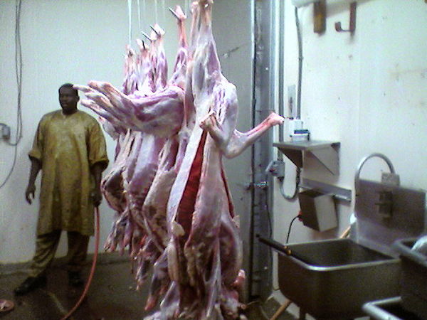 Images-animalsacrifice-0004.jpg