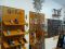 Gofish shop