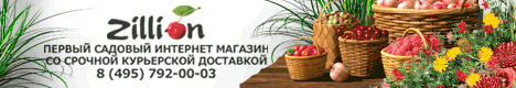www.zilli-on.ru