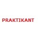 Prаktikant
