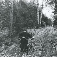 An Image Slideshow