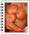 ��������� ������� 2011 �� ������������, ����������� � ������� IFBB