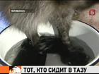 �&nbsp;���������� ���� ��&nbsp;�������� ���&nbsp;������� ����� ������ �������